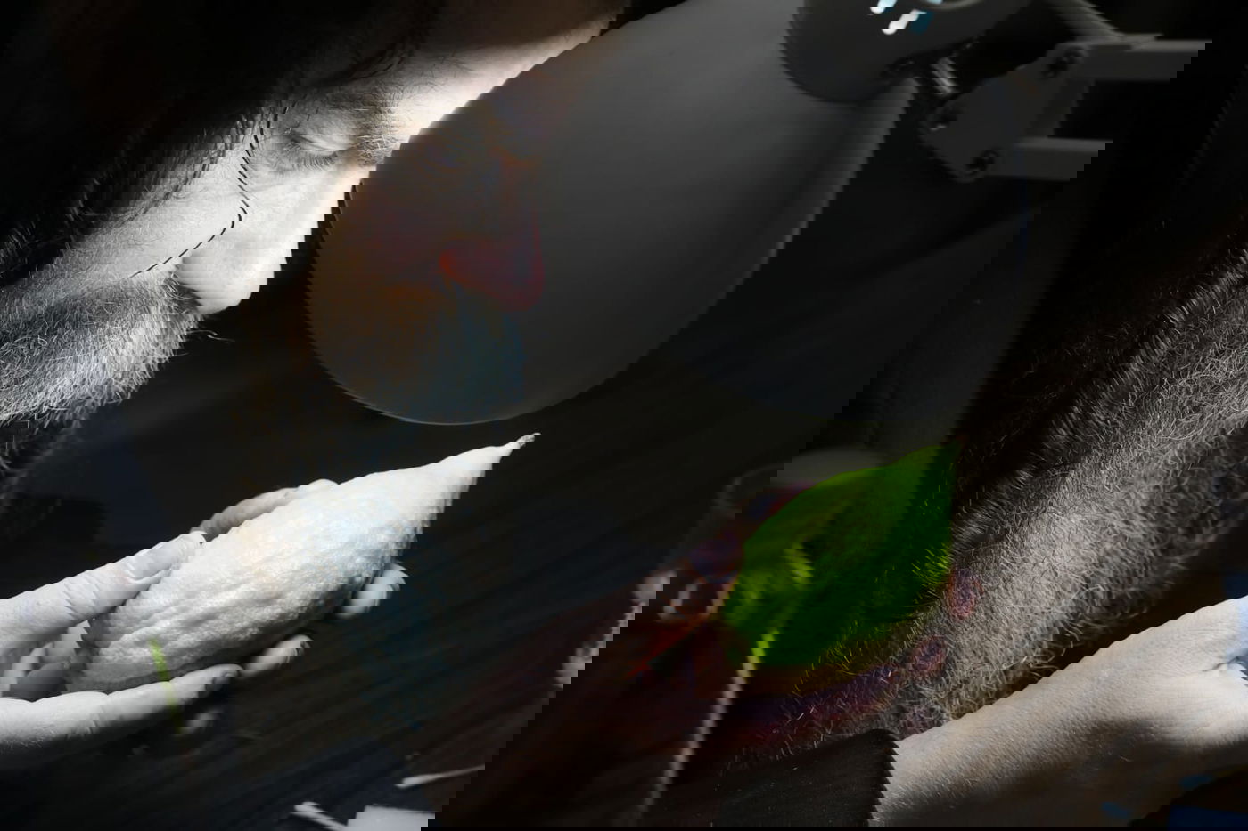 אתרוגים, סוכות ושירים • ערב חג במאה שערים