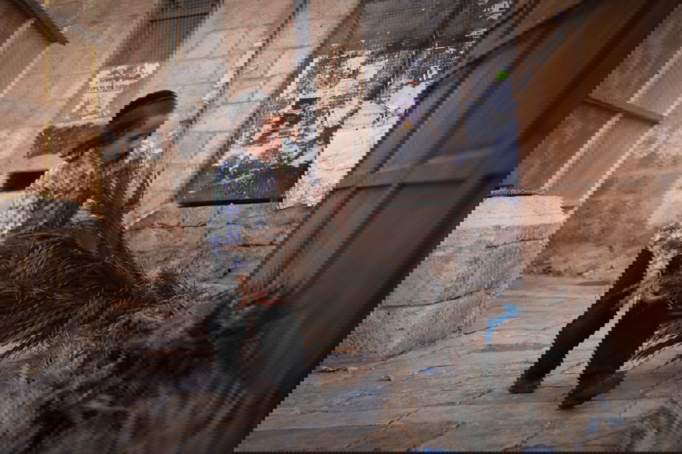 אתרוגים, סוכות ושירים • ערב חג במאה שערים