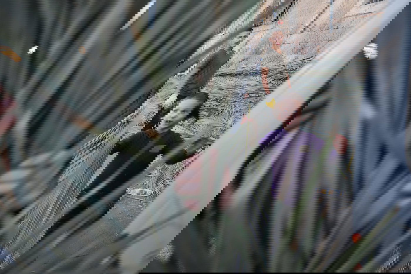 כך קונים סכך לסוכה במאה שערים • גלריה