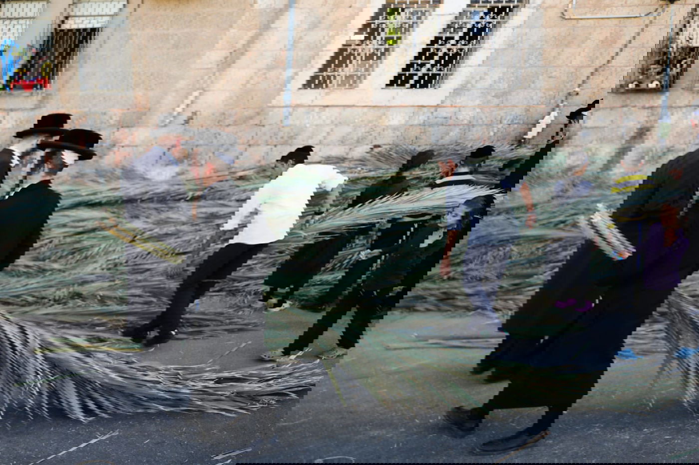 כך קונים סכך לסוכה במאה שערים • גלריה