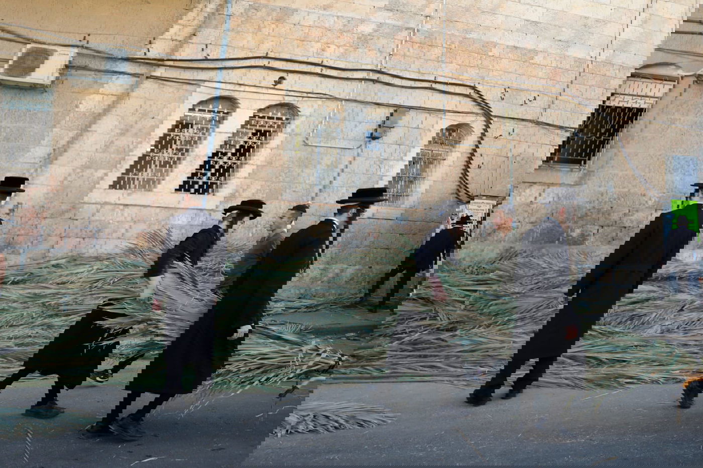 כך קונים סכך לסוכה במאה שערים • גלריה