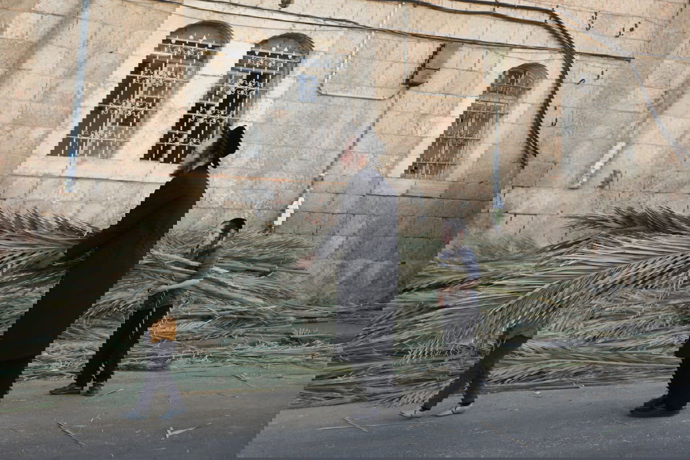 כך קונים סכך לסוכה במאה שערים • גלריה