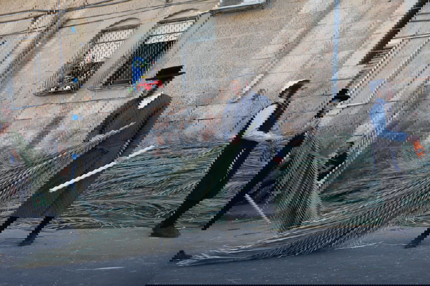 כך קונים סכך לסוכה במאה שערים • גלריה