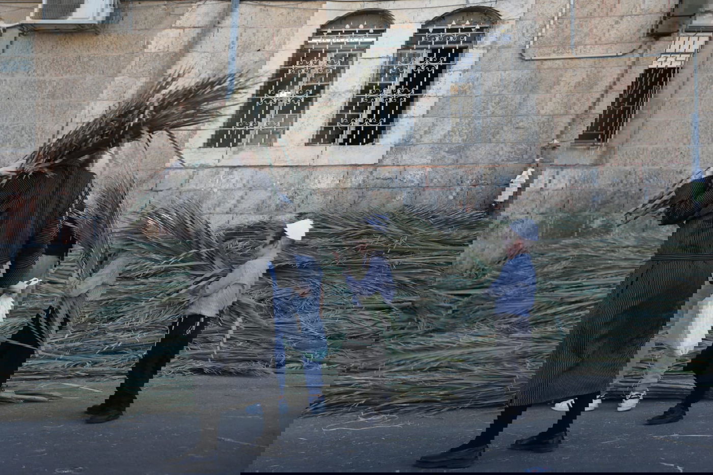 כך קונים סכך לסוכה במאה שערים • גלריה