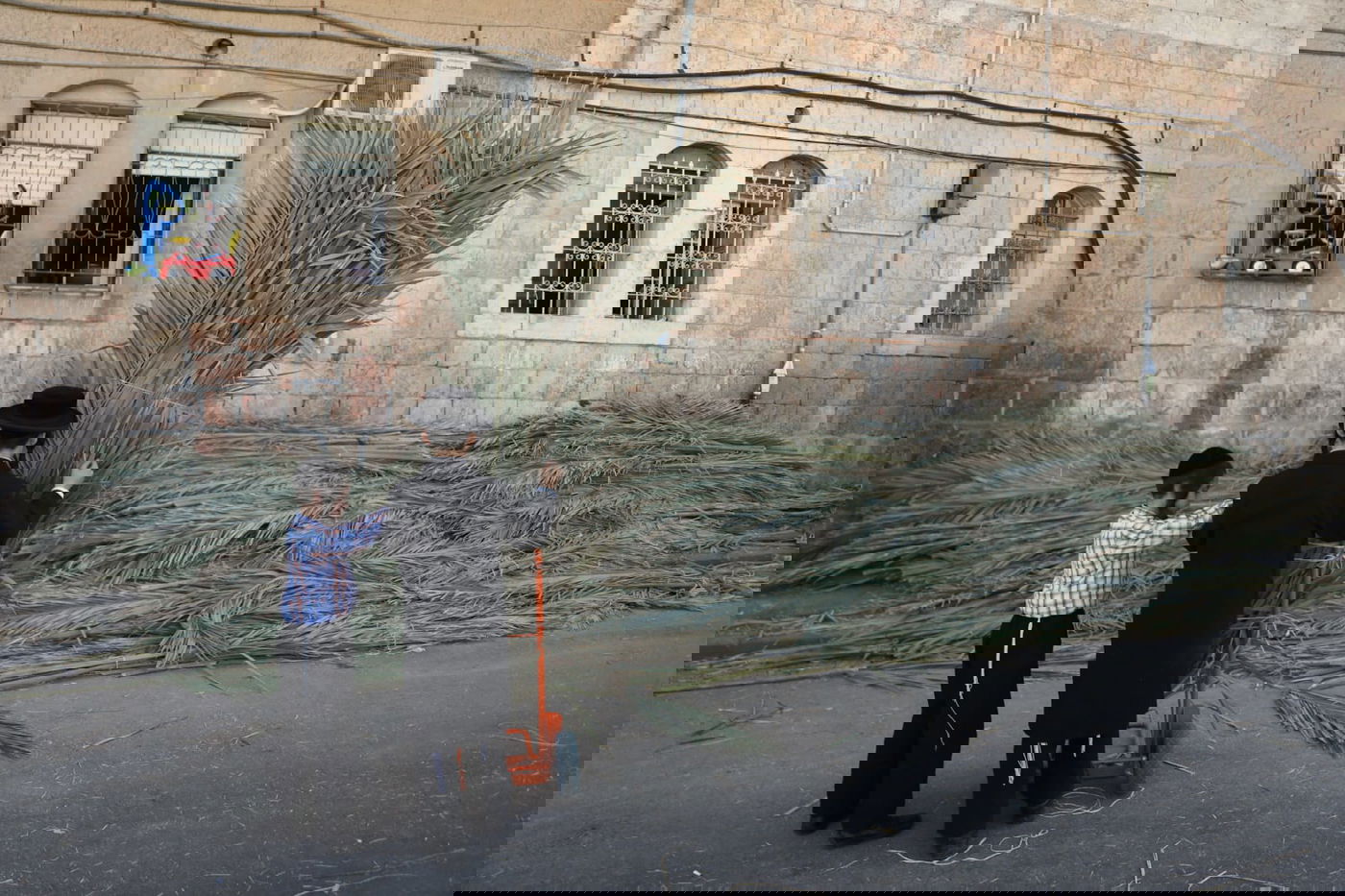 כך קונים סכך לסוכה במאה שערים • גלריה