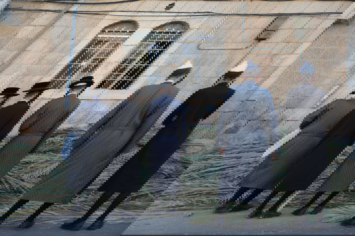 כך קונים סכך לסוכה במאה שערים • גלריה