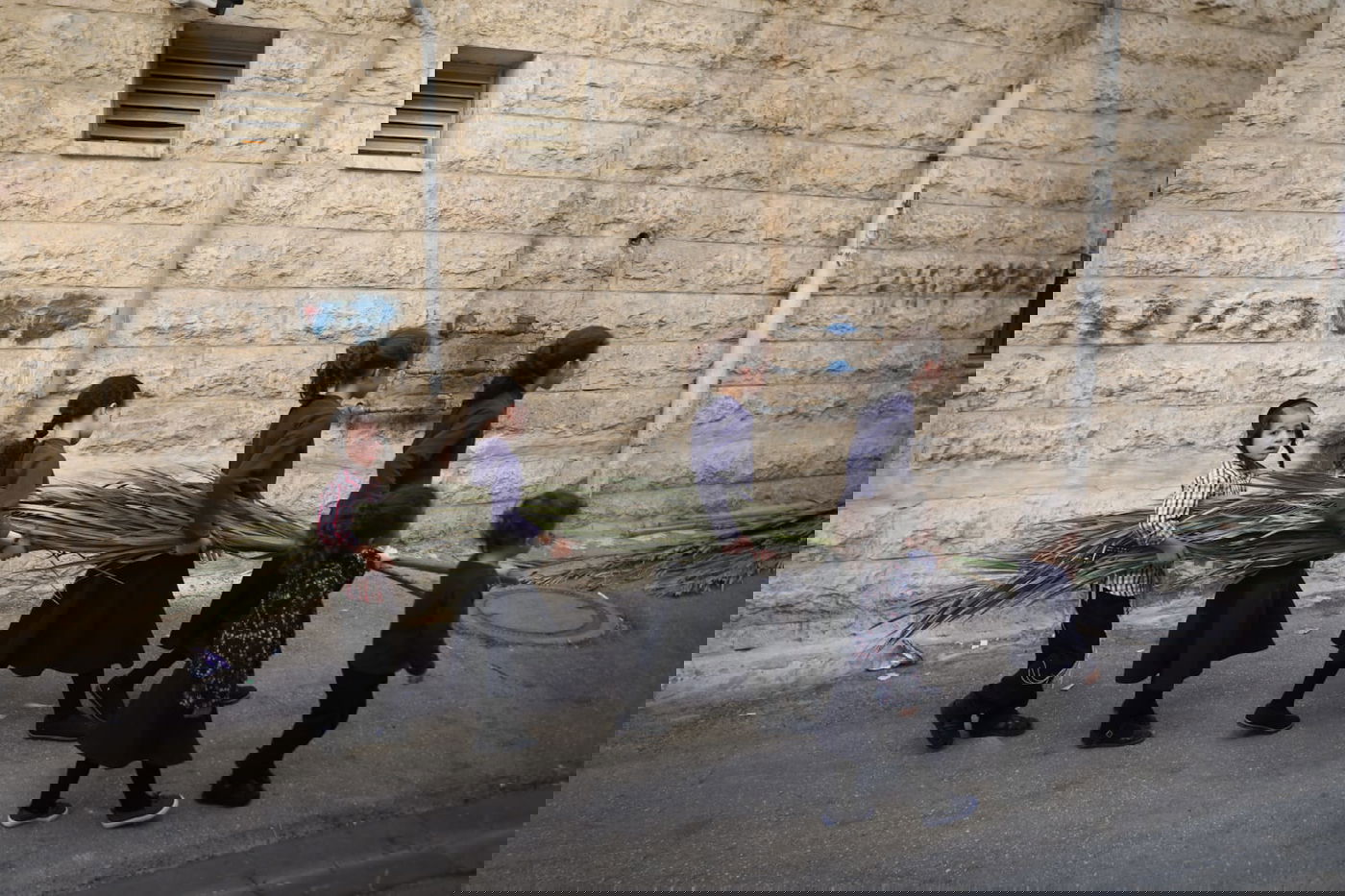 כך קונים סכך לסוכה במאה שערים • גלריה