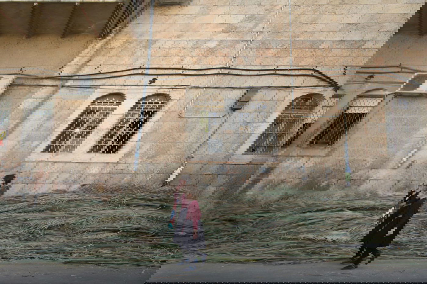 כך קונים סכך לסוכה במאה שערים • גלריה