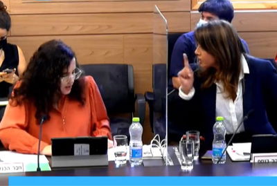 אבקסיס צרחה על הח"כית: "מכרת את הכל"