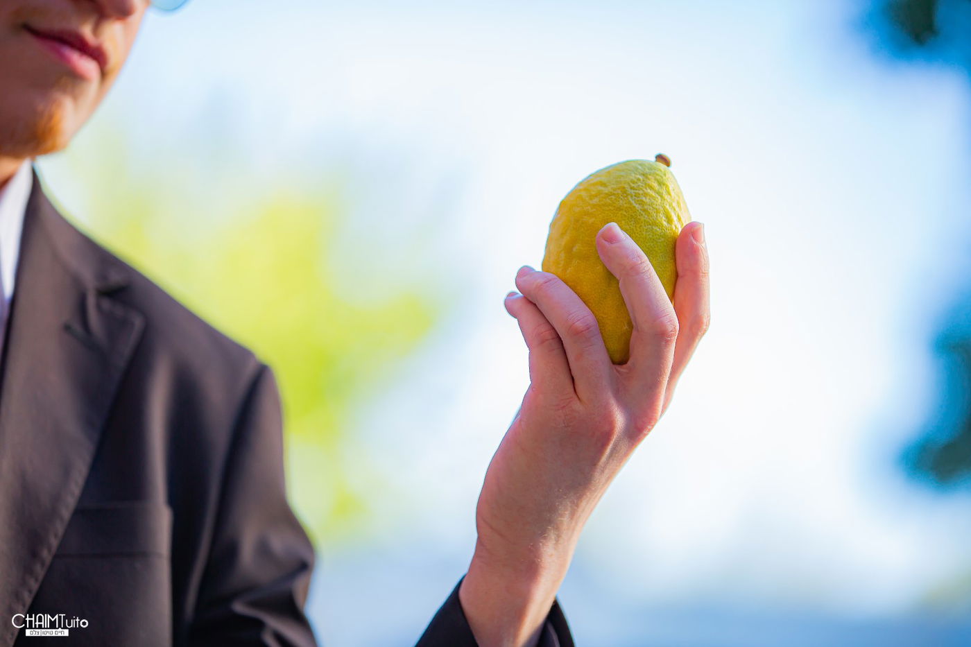 ערב סוכות ב'קראון הייטס'; 50 רגעים מרהיבים