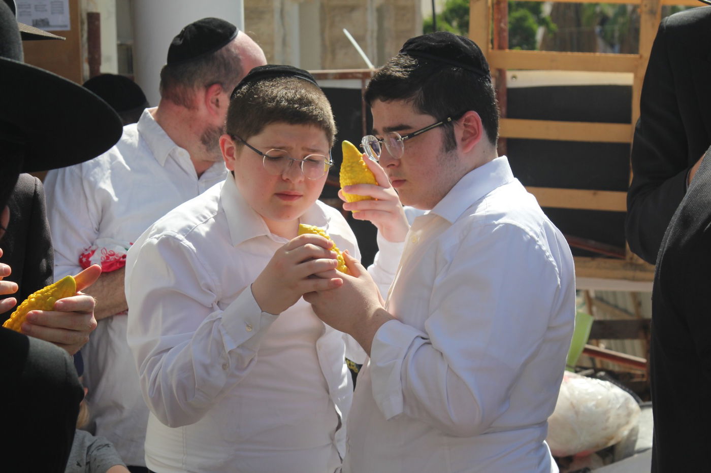 שוק ארבעת המינים