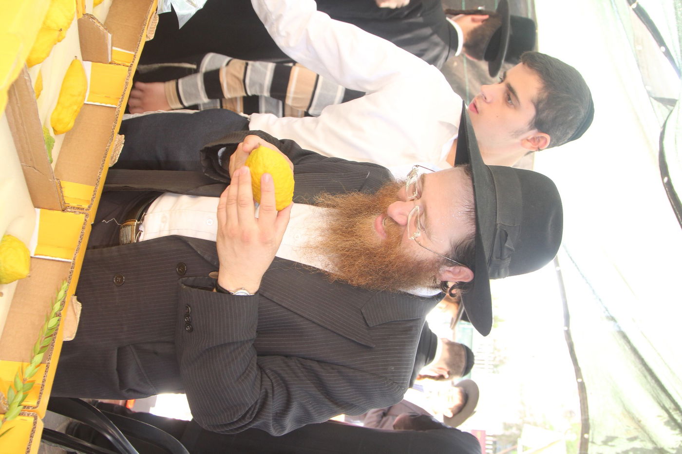 מודיעין עילית: ערב חג בשווקי ארבעת המינים