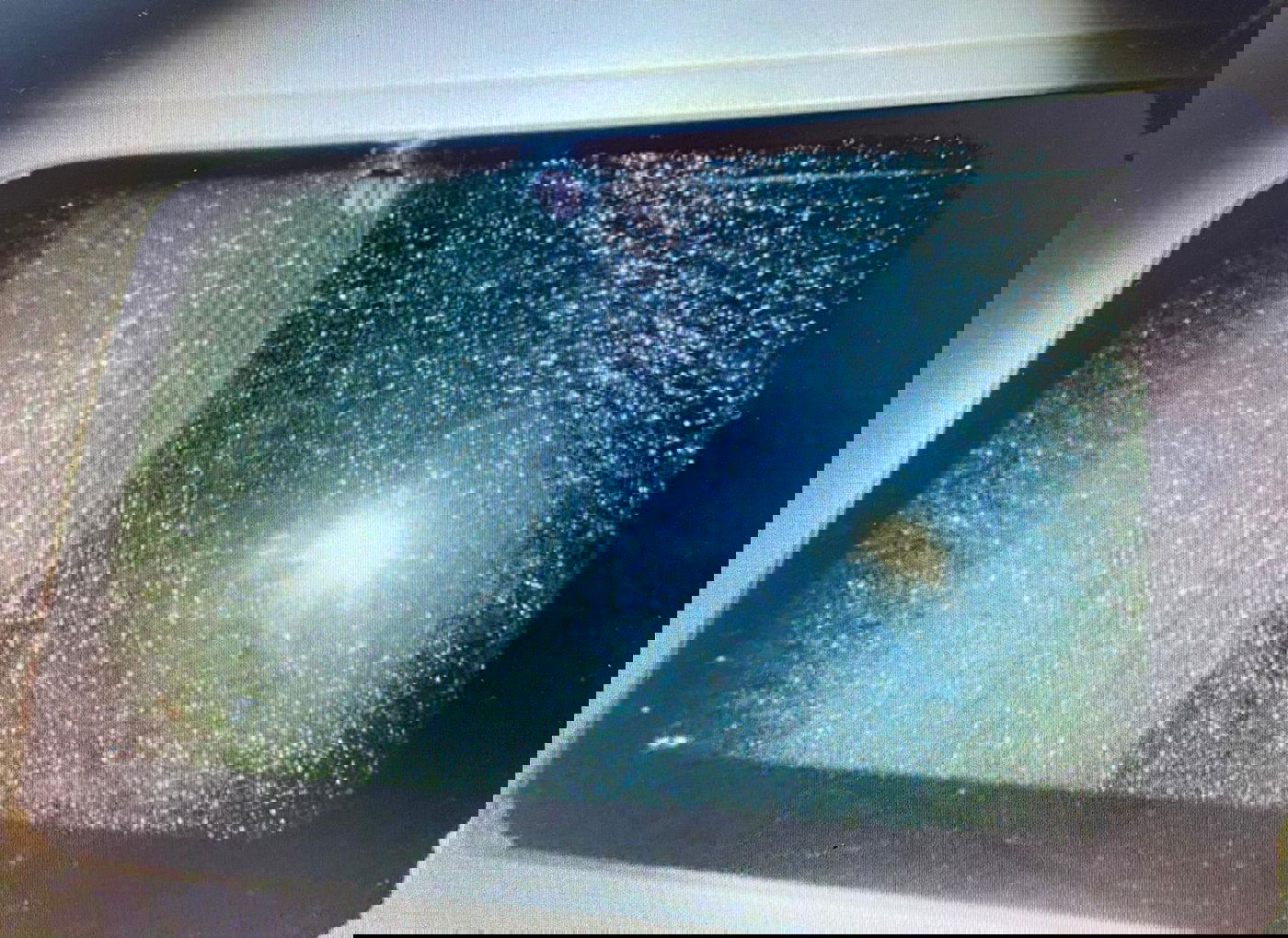 חלונות הרכב שנפגע