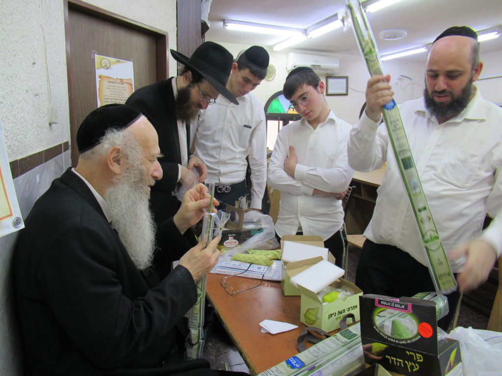 הפוסק הבני-ברקי בבדיקת ארבעת המינים • תיעוד