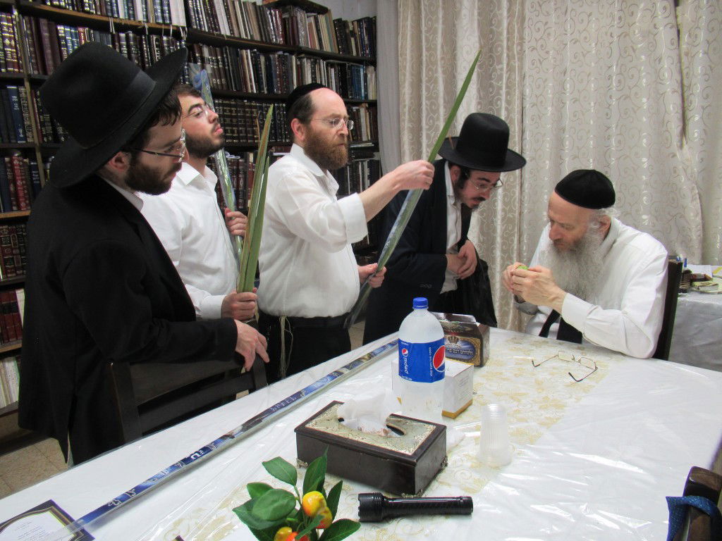 הפוסק הבני-ברקי בבדיקת ארבעת המינים • תיעוד