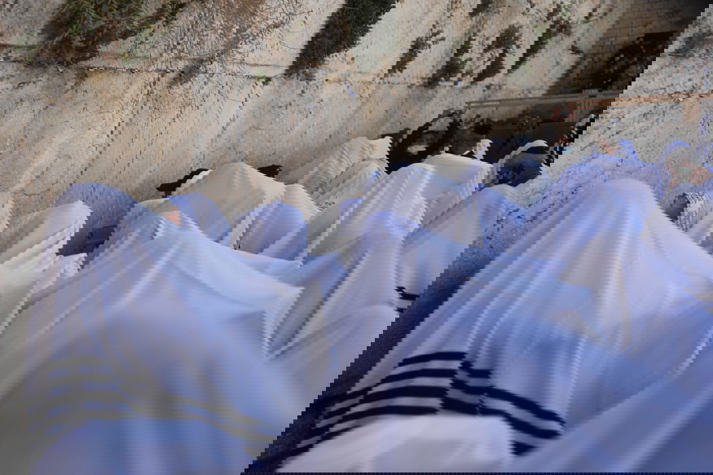 בשידור חוזר: מעמד ברכת כהנים בכותל המערבי • צפו