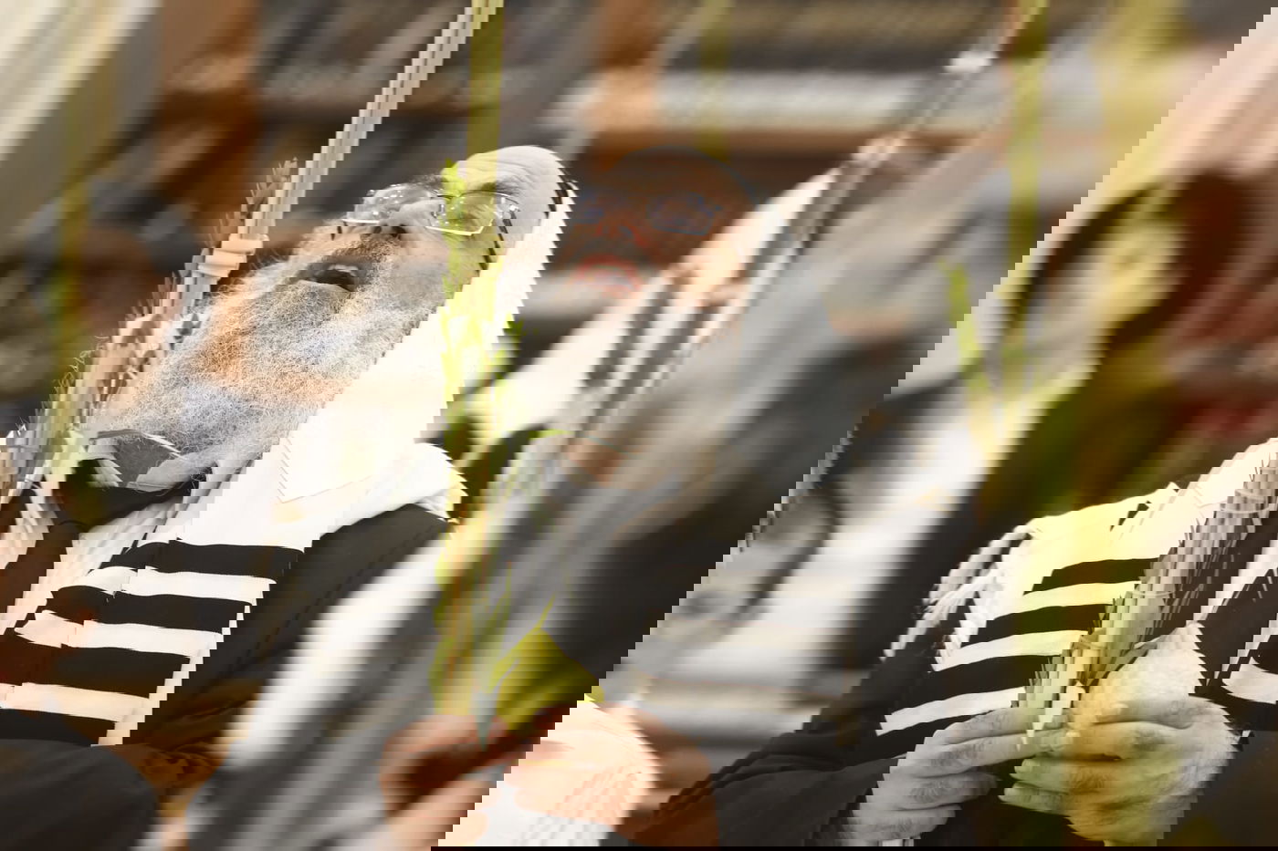 תיעוד: ראשי ישיבת סלבודקא בתפילת החג