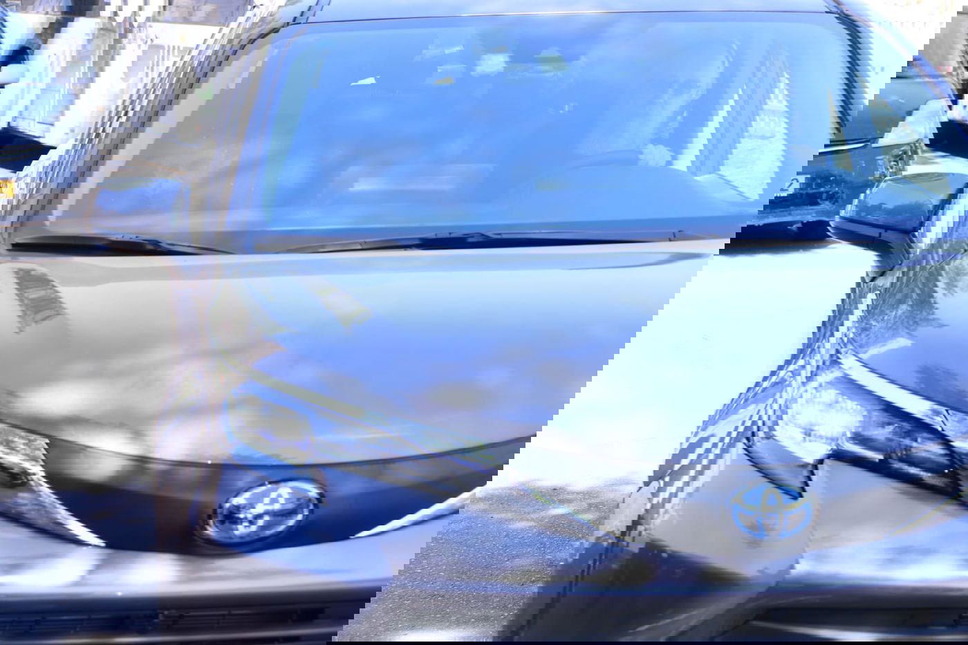 כשהגר"ד לנדו רקד עם המקל • צפו בתיעוד