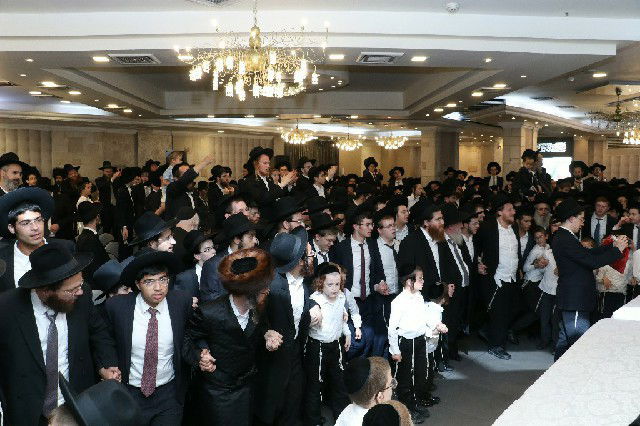 כך חגגו ב'פלג הירושלמי' את הקבלת פני רבו • תיעוד