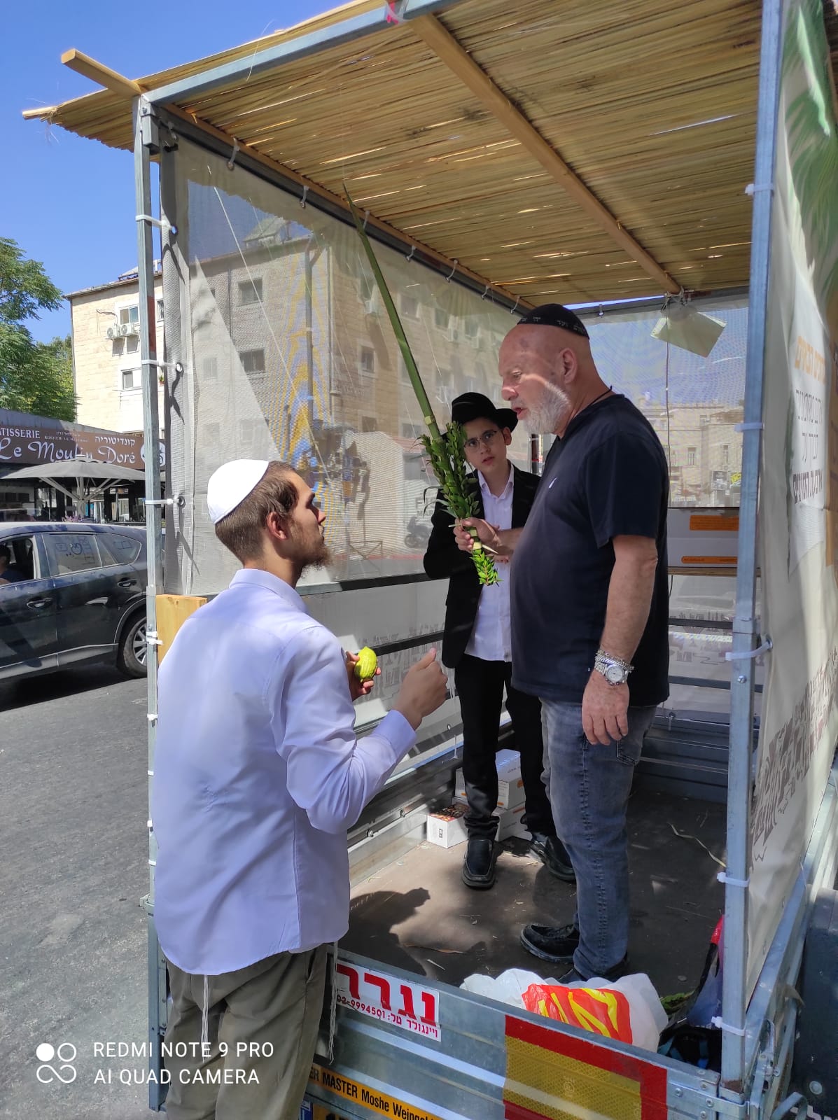 כל הארץ לולב: תיעוד מרגש מהנענועים של עמך בית ישראל