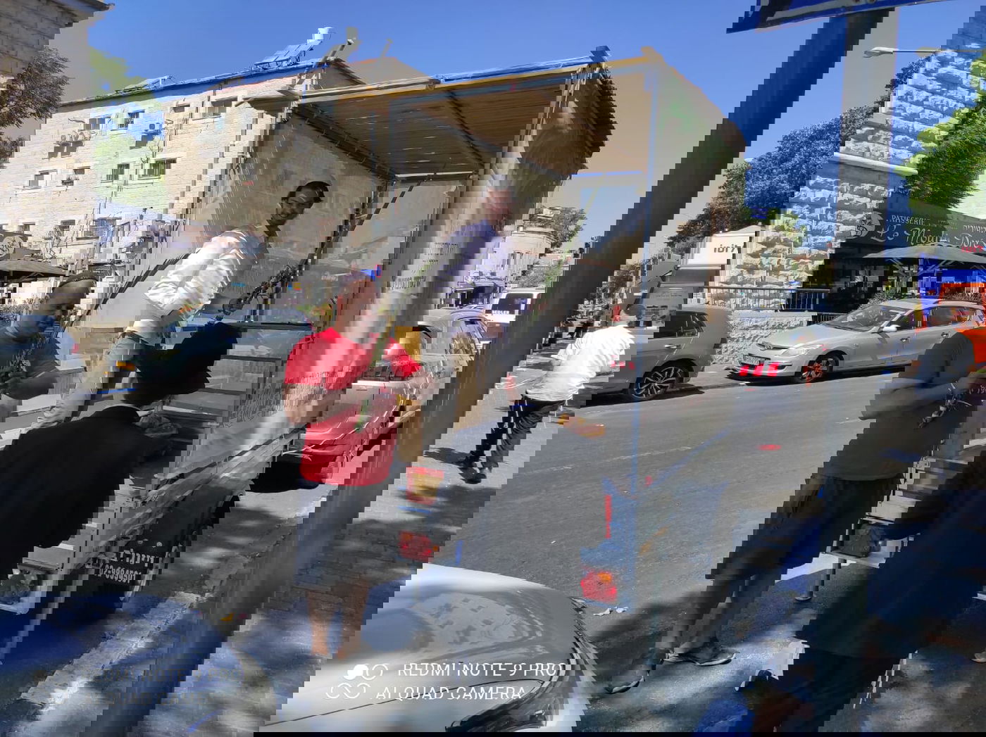 כל הארץ לולב: תיעוד מרגש מהנענועים של עמך בית ישראל