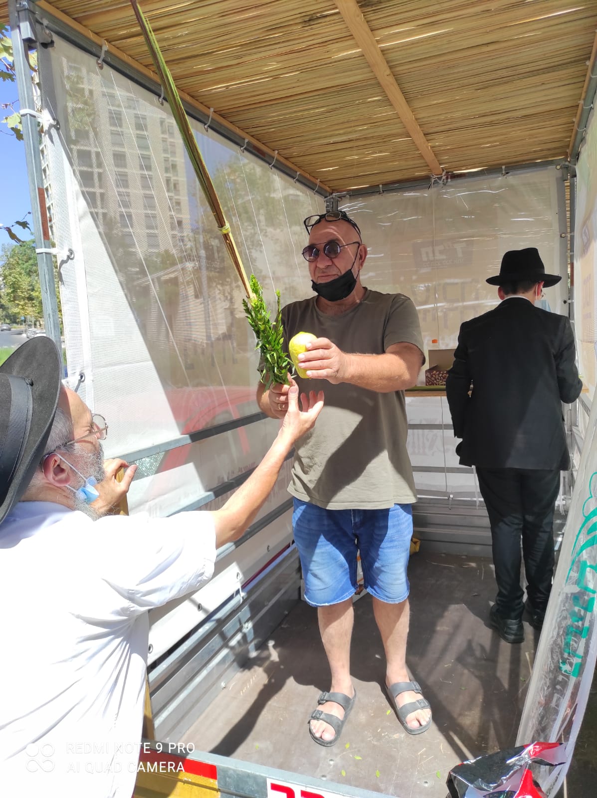 כל הארץ לולב: תיעוד מרגש מהנענועים של עמך בית ישראל