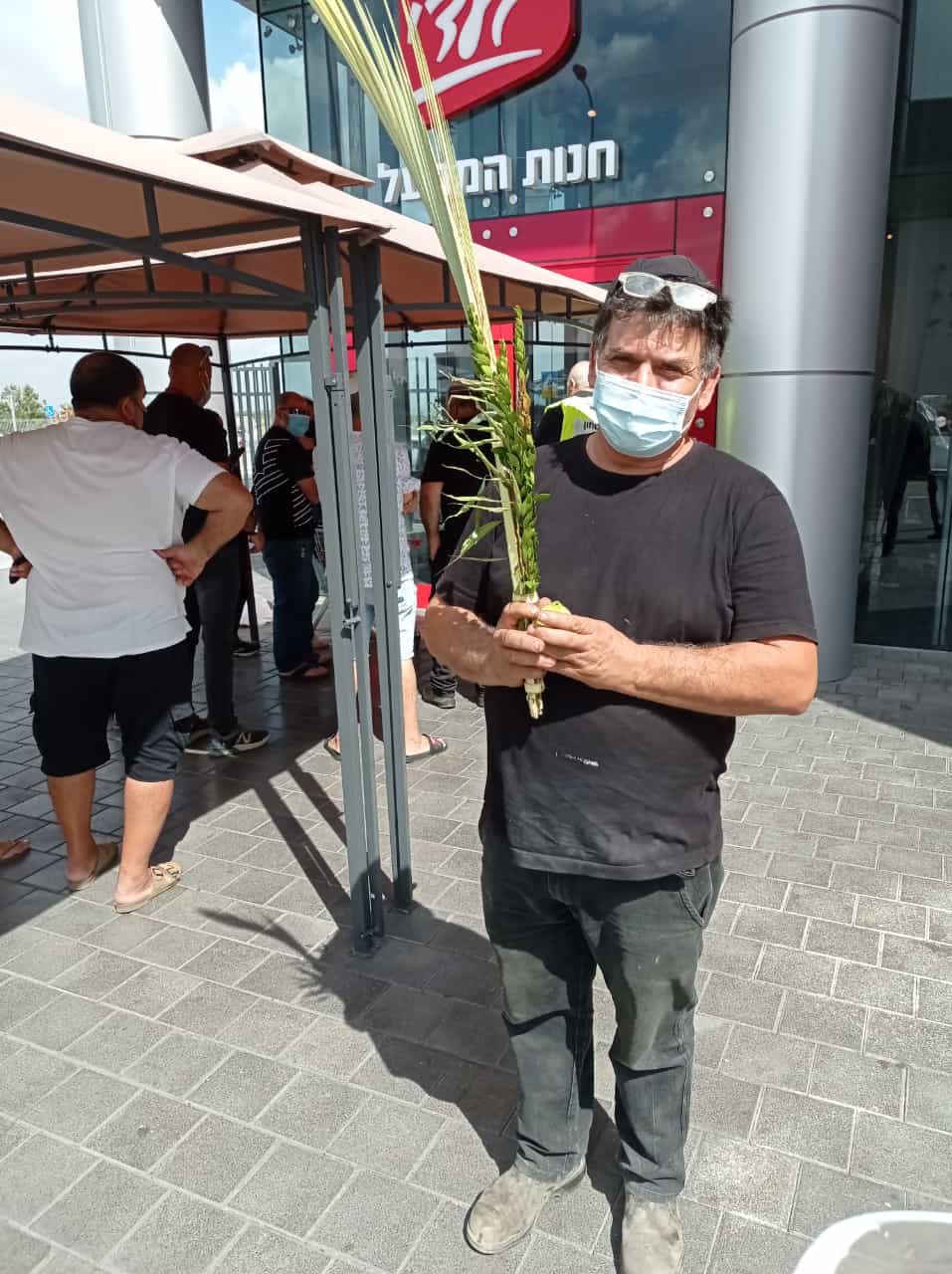 כל הארץ לולב: תיעוד מרגש מהנענועים של עמך בית ישראל