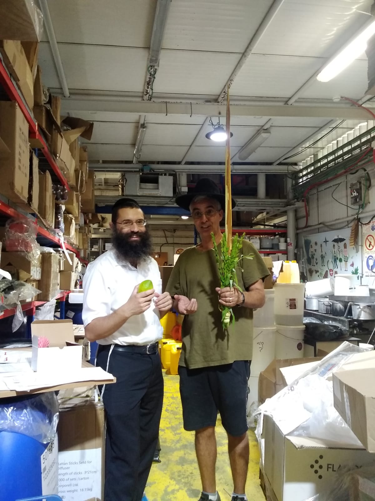 כל הארץ לולב: תיעוד מרגש מהנענועים של עמך בית ישראל