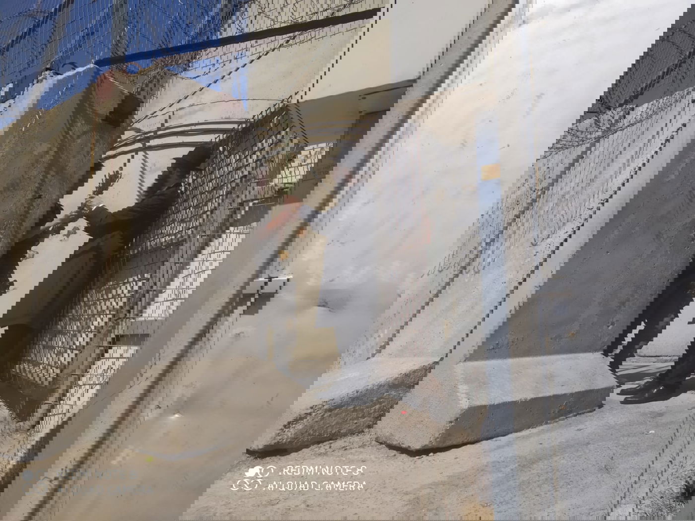 כל הארץ לולב: תיעוד מרגש מהנענועים של עמך בית ישראל