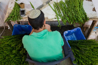 מספר העלים שצריכים לנשור מההדס כדי שיפסל