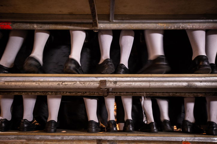 הצדיקים בעולם הזה מתגלים עם... בגדי שבת