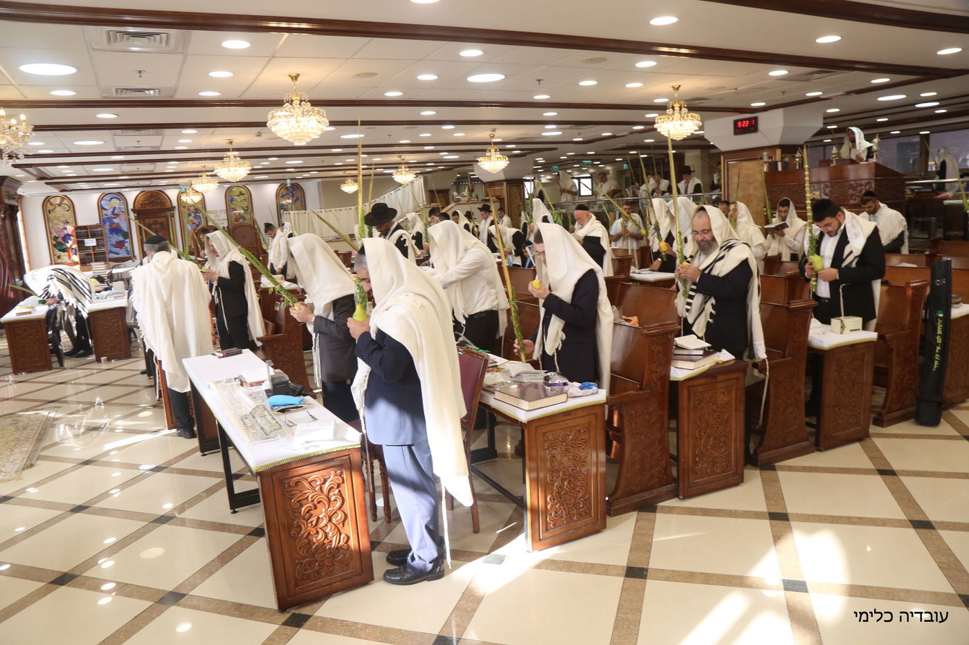 תיעוד מיוחד: הגר"ר אלבז בנטילת ד' המינים