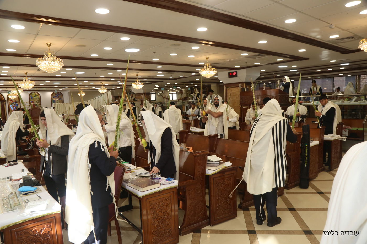 תיעוד מיוחד: הגר"ר אלבז בנטילת ד' המינים
