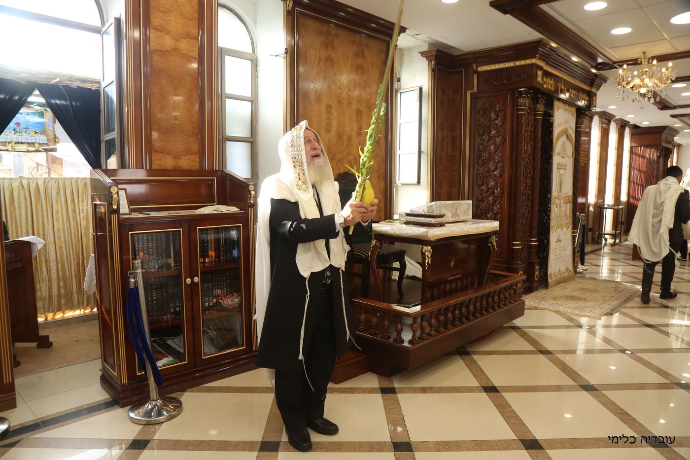 תיעוד מיוחד: הגר"ר אלבז בנטילת ד' המינים