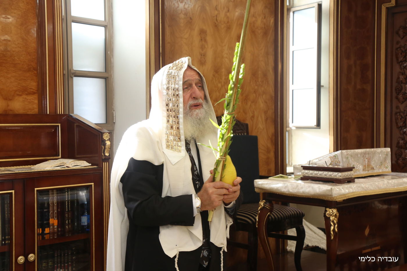 תיעוד מיוחד: הגר"ר אלבז בנטילת ד' המינים