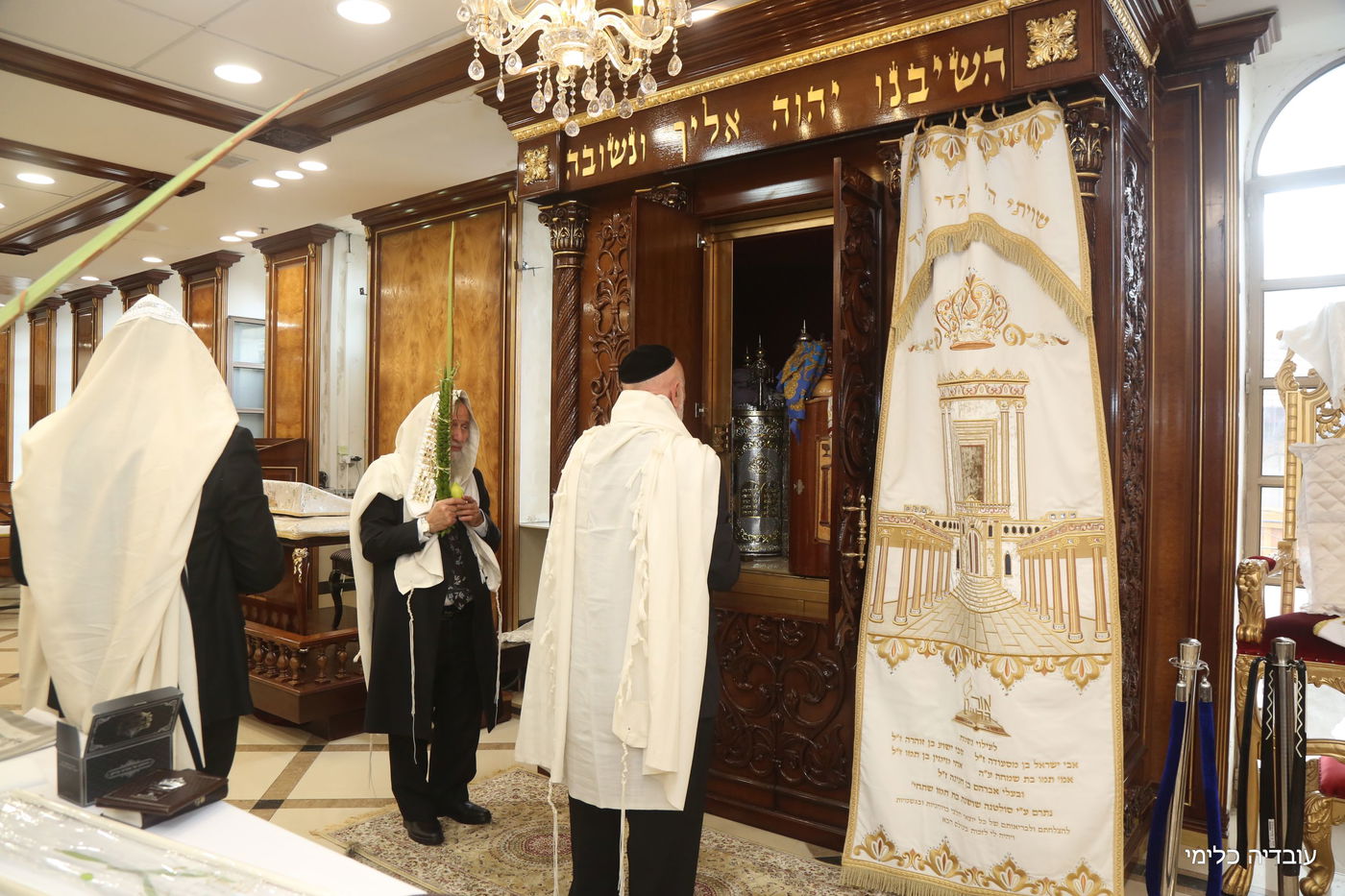 תיעוד מיוחד: הגר"ר אלבז בנטילת ד' המינים