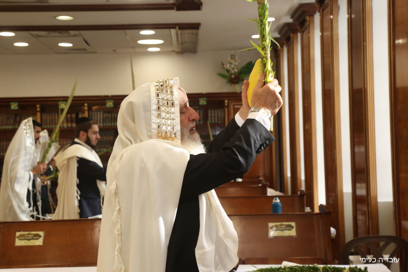 תיעוד מיוחד: הגר"ר אלבז בנטילת ד' המינים