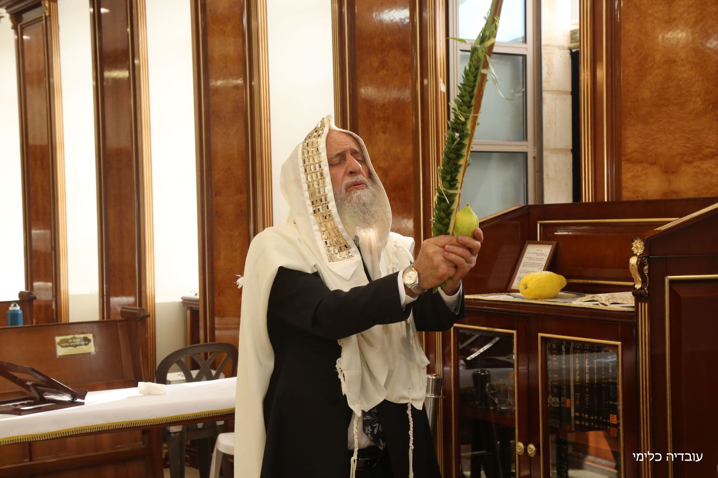 תיעוד מיוחד: הגר"ר אלבז בנטילת ד' המינים