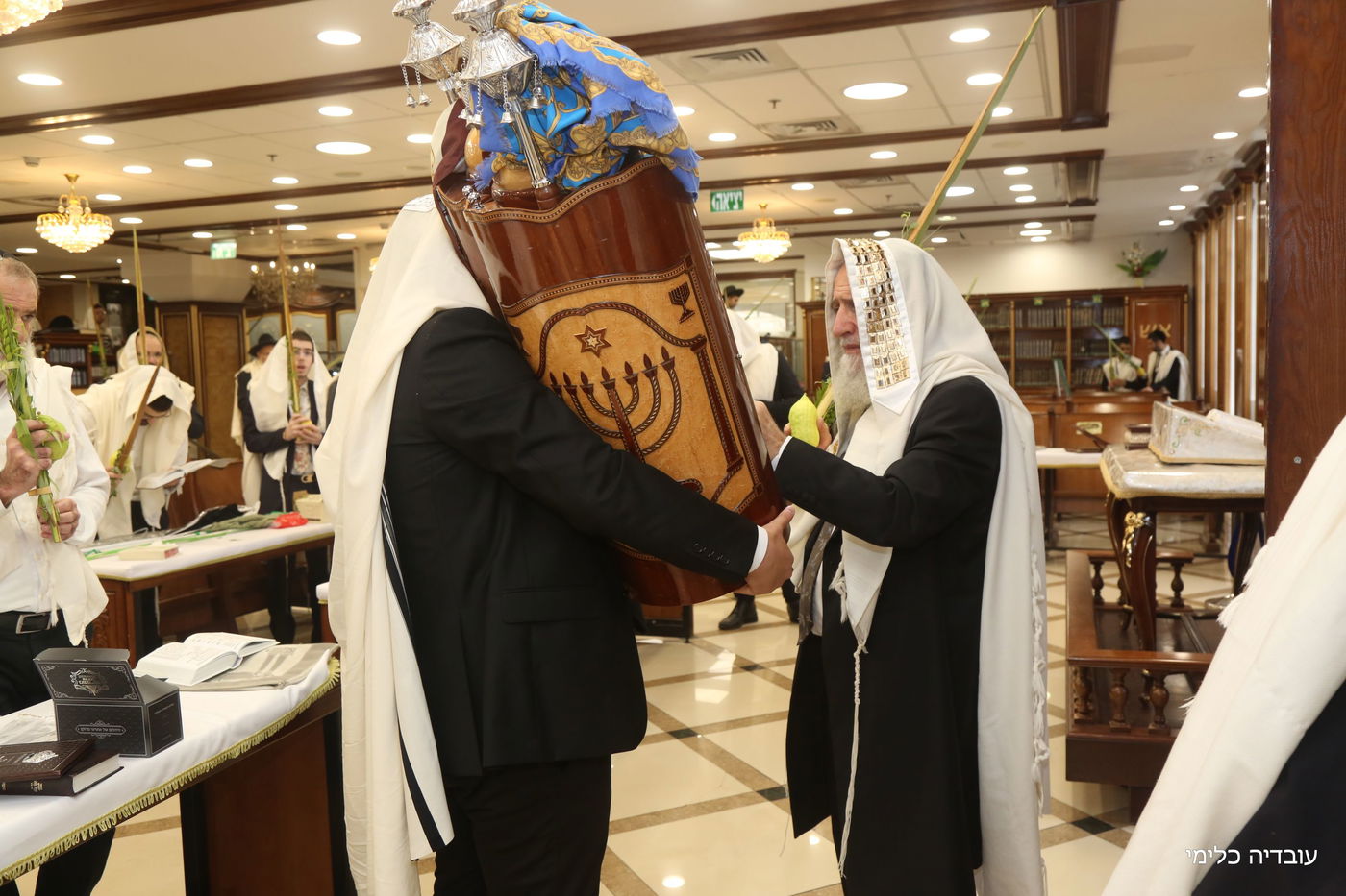 תיעוד מיוחד: הגר"ר אלבז בנטילת ד' המינים