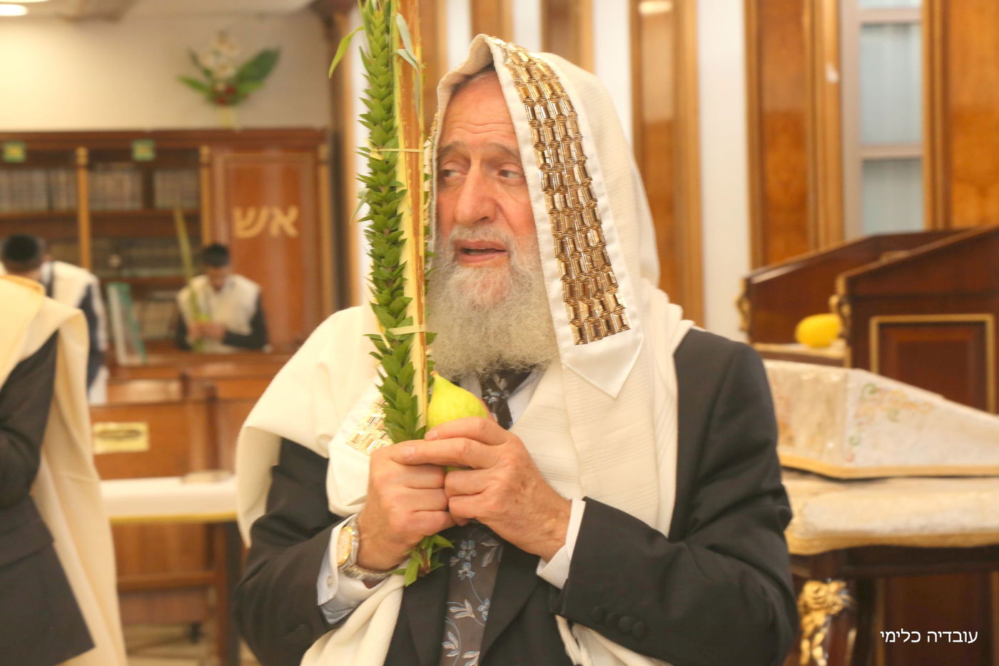 תיעוד מיוחד: הגר"ר אלבז בנטילת ד' המינים