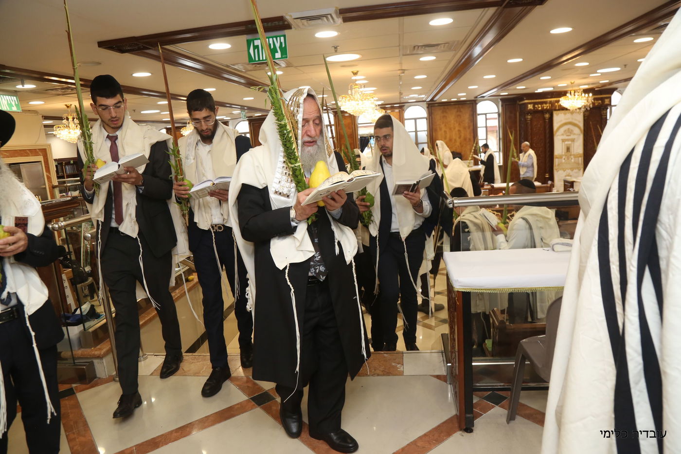 תיעוד מיוחד: הגר"ר אלבז בנטילת ד' המינים