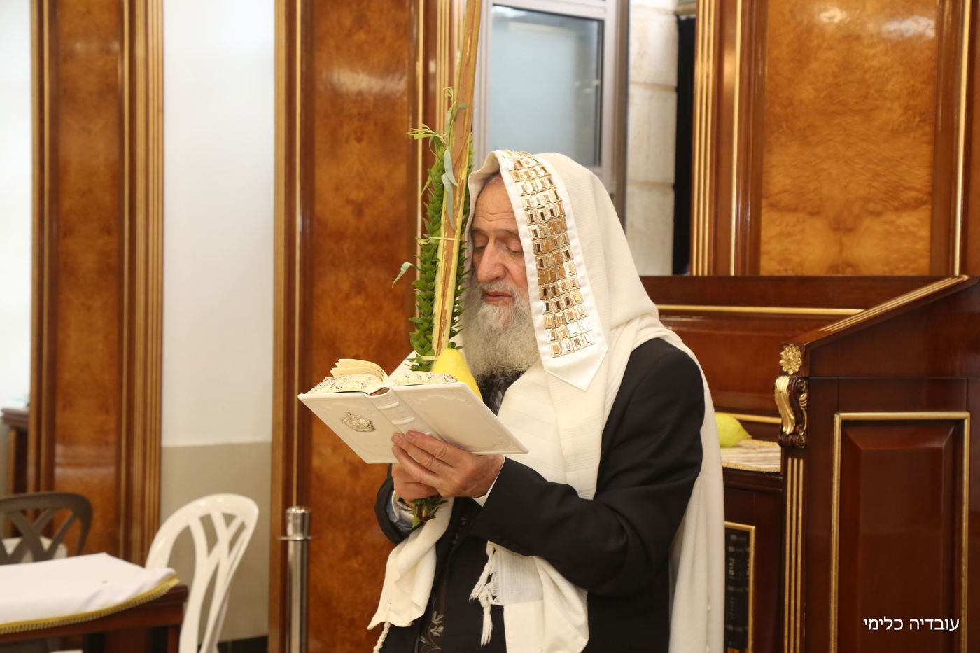 תיעוד מיוחד: הגר"ר אלבז בנטילת ד' המינים