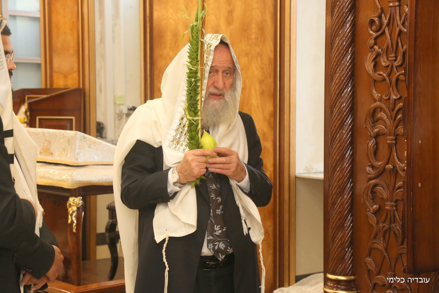 תיעוד מיוחד: הגר"ר אלבז בנטילת ד' המינים