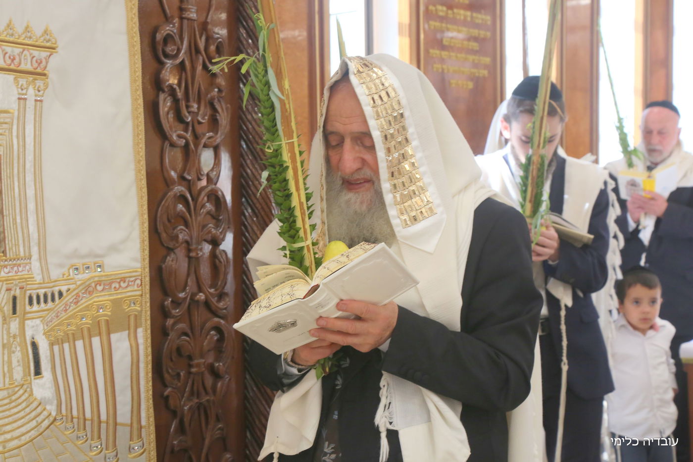 תיעוד מיוחד: הגר"ר אלבז בנטילת ד' המינים