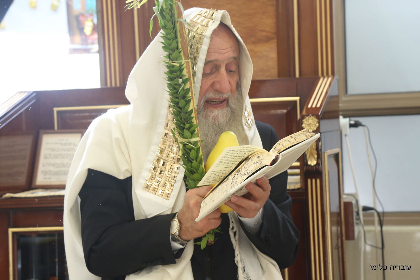 תיעוד מיוחד: הגר"ר אלבז בנטילת ד' המינים