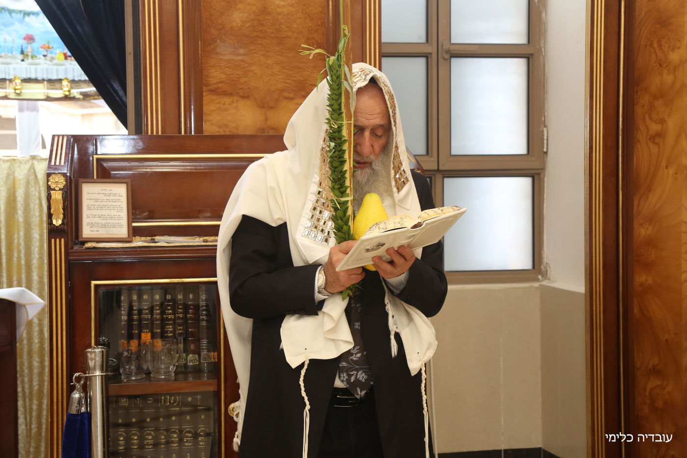 תיעוד מיוחד: הגר"ר אלבז בנטילת ד' המינים