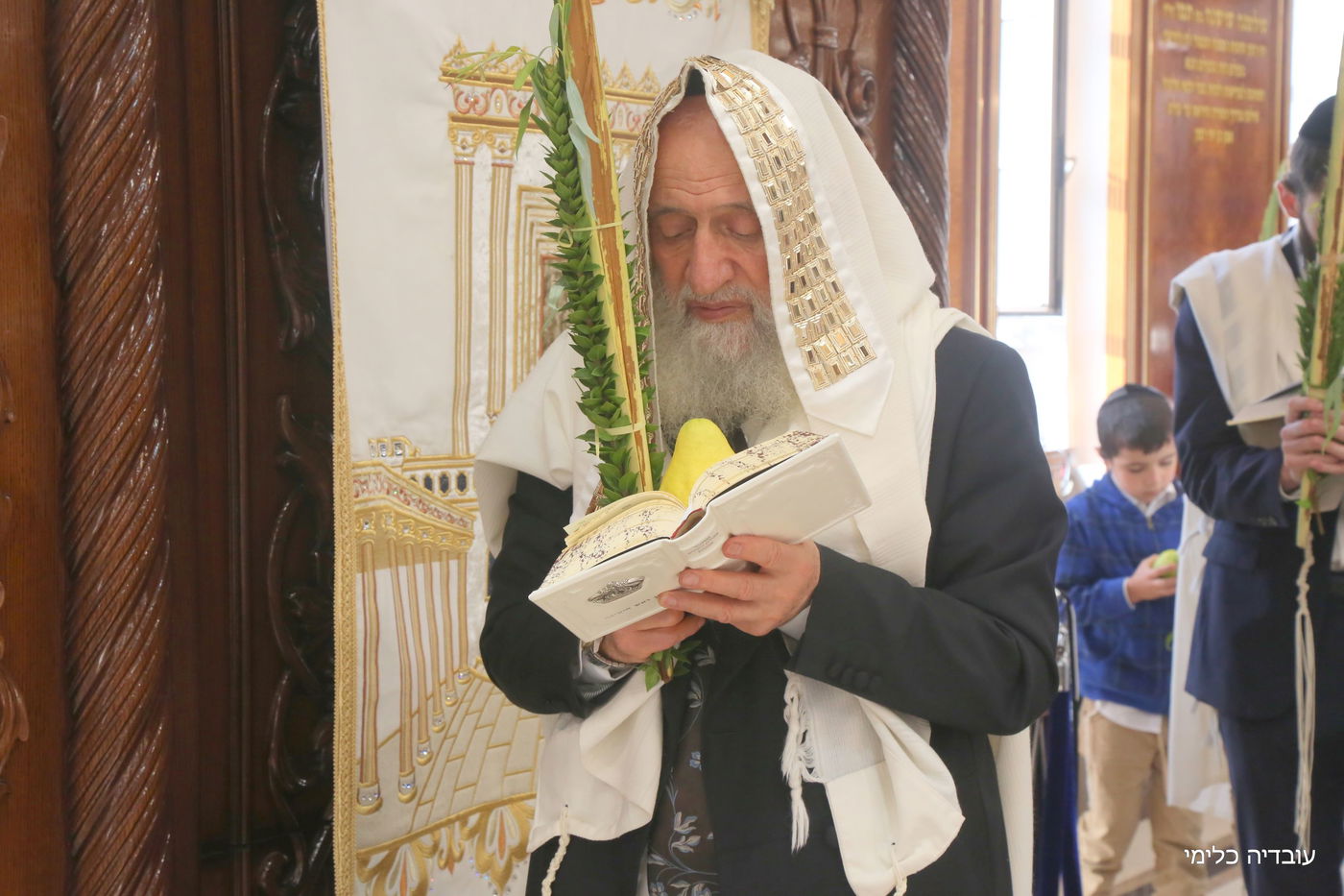 תיעוד מיוחד: הגר"ר אלבז בנטילת ד' המינים