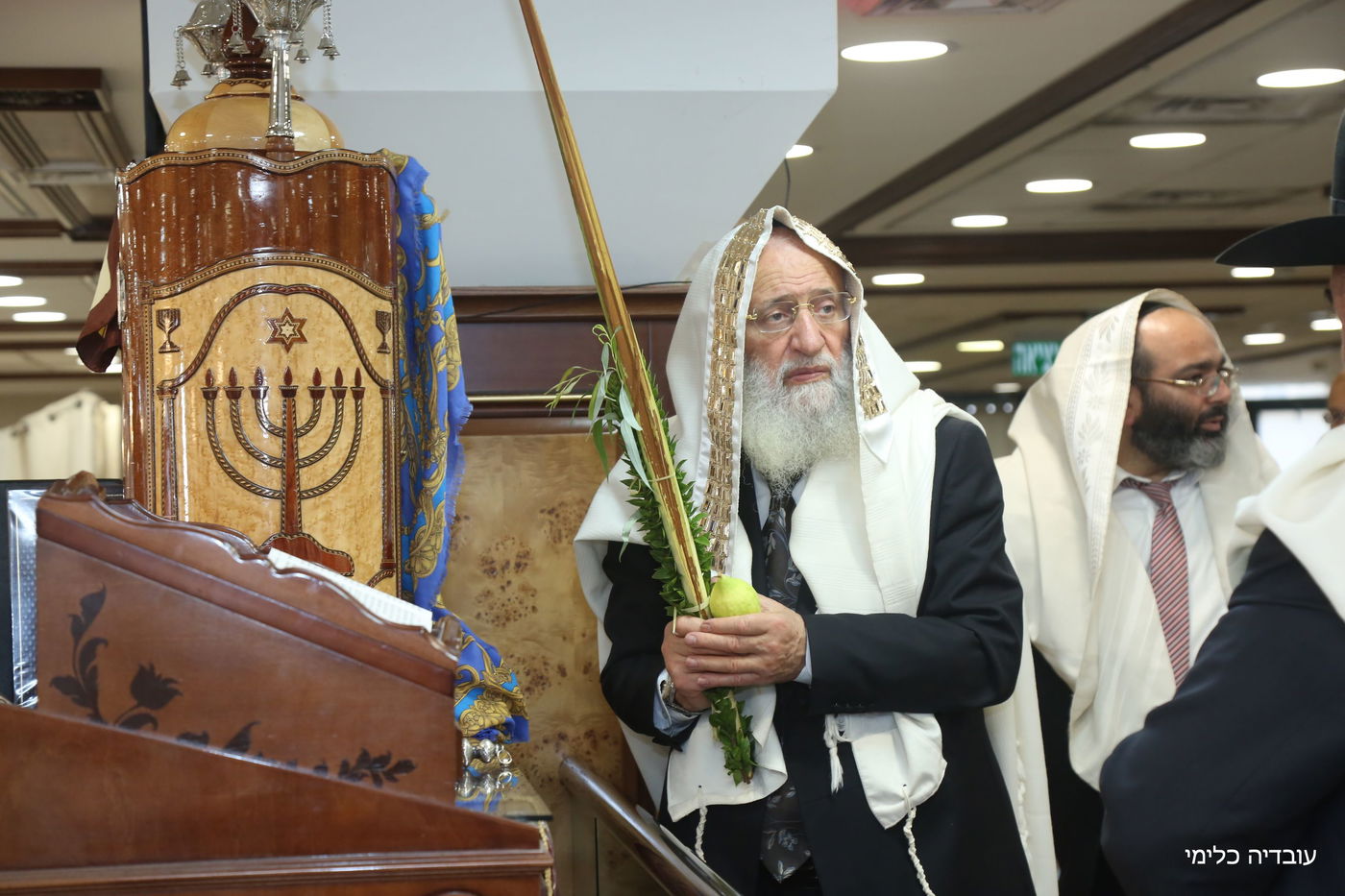 תיעוד מיוחד: הגר"ר אלבז בנטילת ד' המינים