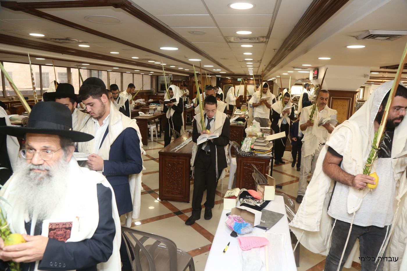 תיעוד מיוחד: הגר"ר אלבז בנטילת ד' המינים