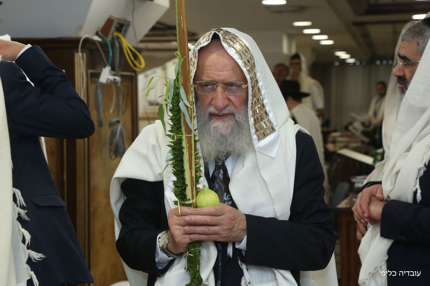 תיעוד מיוחד: הגר"ר אלבז בנטילת ד' המינים